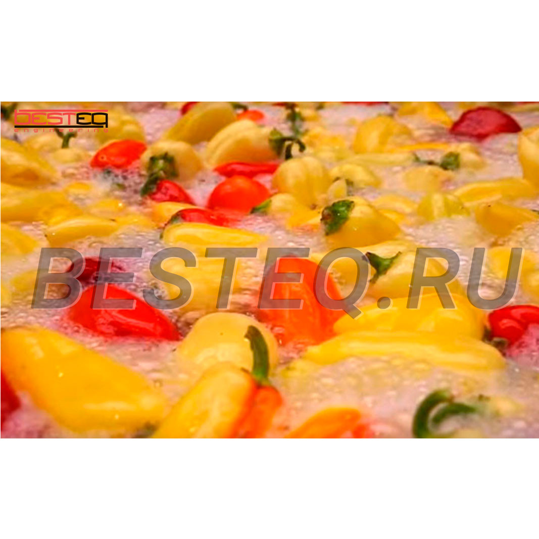 Линия переработки салатного перца заказать в России | ООО БЕСТЕК-Инжиниринг