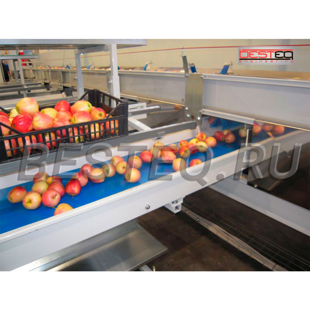 Линия по переработке свежих яблок заказать в России | ООО БЕСТЕК-Инжиниринг