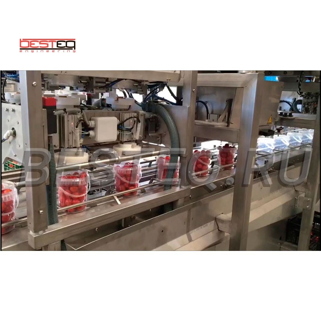 Комплект оборудования для фасовки и упаковки соленых и маринованных овощей заказать в России | ООО БЕСТЕК-Инжиниринг