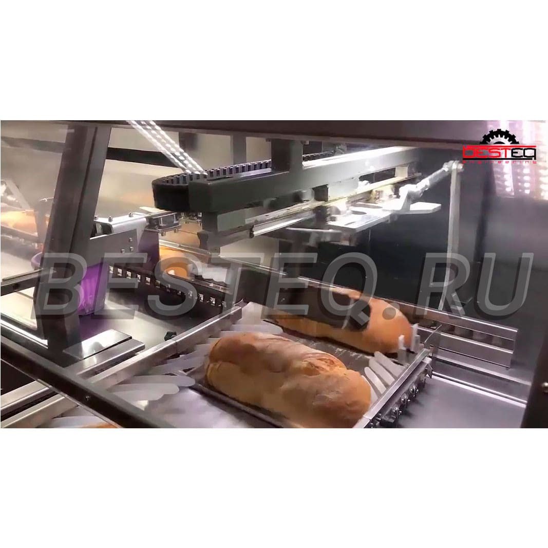 Автоматическая машина для упаковки хлеба BSM RPMB 360 заказать в России | ООО БЕСТЕК-Инжиниринг