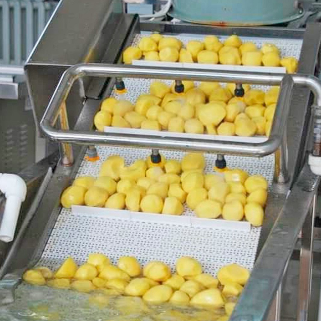 Линия по переработке и вакуумной упаковки картофеля заказать в России | ООО БЕСТЕК-Инжиниринг