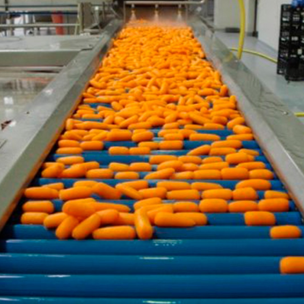 Линия по получению, переработке и нарезке лука и моркови заказать в России | ООО БЕСТЕК-Инжиниринг