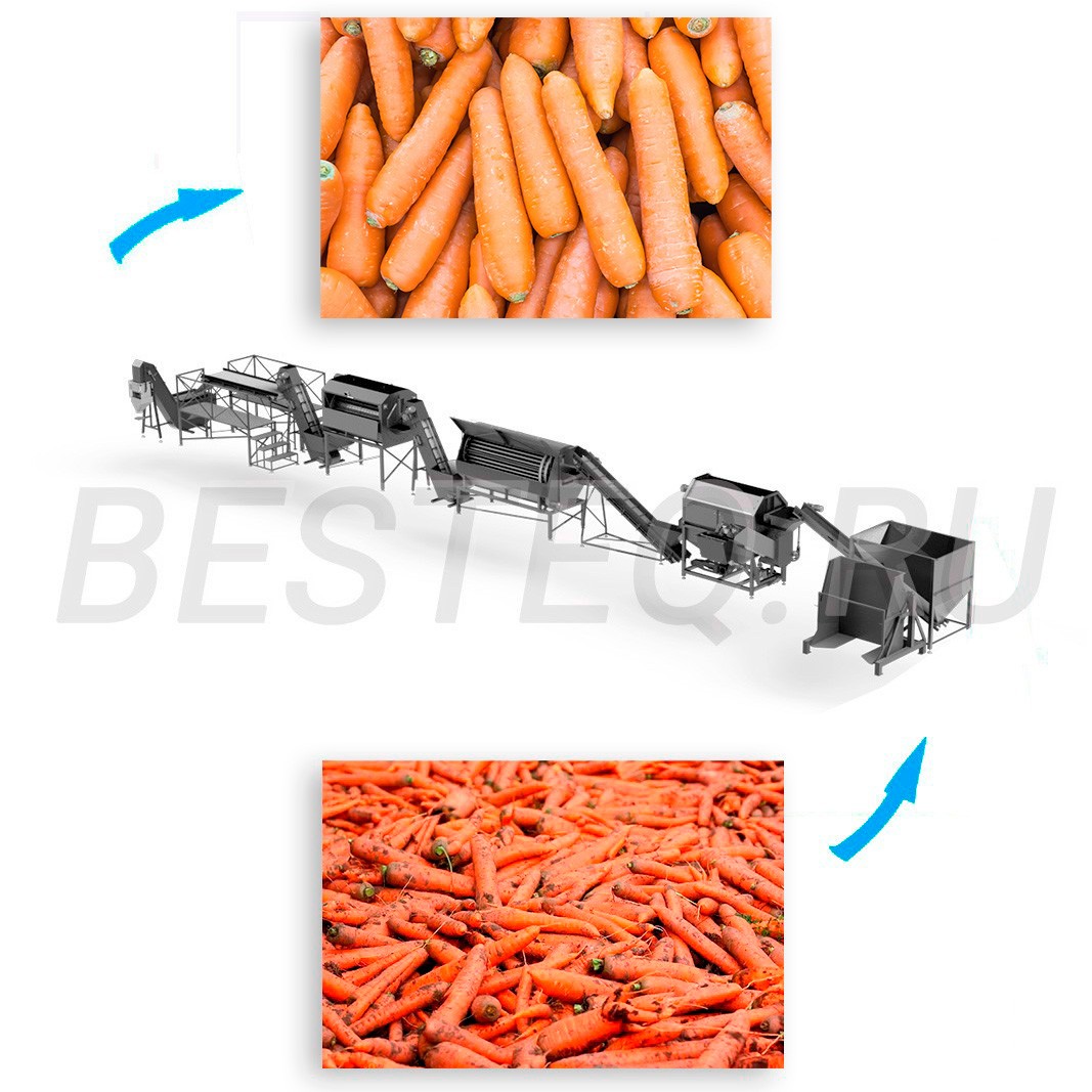 Линия по переработке моркови и огурцов
