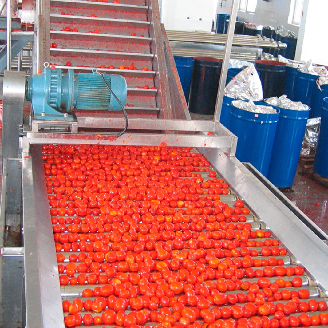 Линия переработки томатов. Производство пюре заказать в России | ООО БЕСТЕК-Инжиниринг