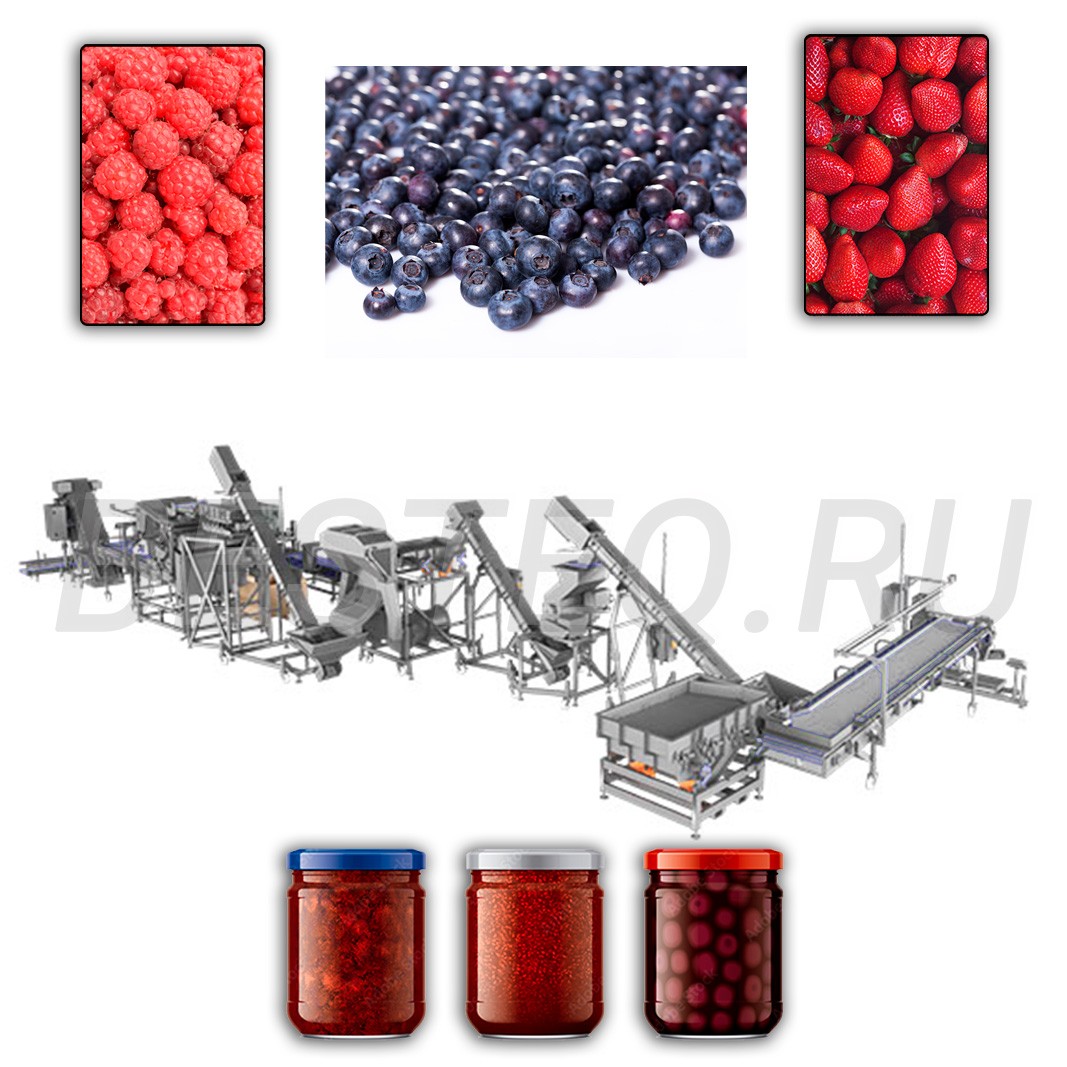 Линия комплексной переработки ягод заказать в России | ООО БЕСТЕК-Инжиниринг
