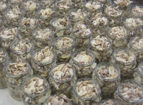 Линия переработки грибов заказать в России | ООО БЕСТЕК-Инжиниринг