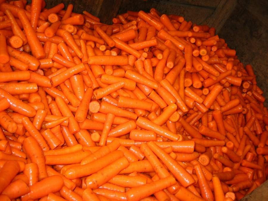 Полуавтоматическая машина для обрезки концов у моркови заказать в России | ООО БЕСТЕК-Инжиниринг