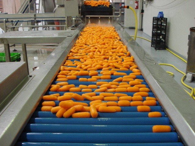 Полуавтоматическая машина для обрезки концов у моркови заказать в России | ООО БЕСТЕК-Инжиниринг